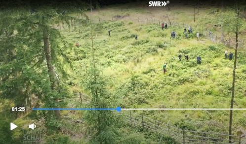 Screenshot-2022-06-30-085622-Bergwaldprojekt-500×290